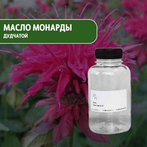 Масло монарды дудчатой  